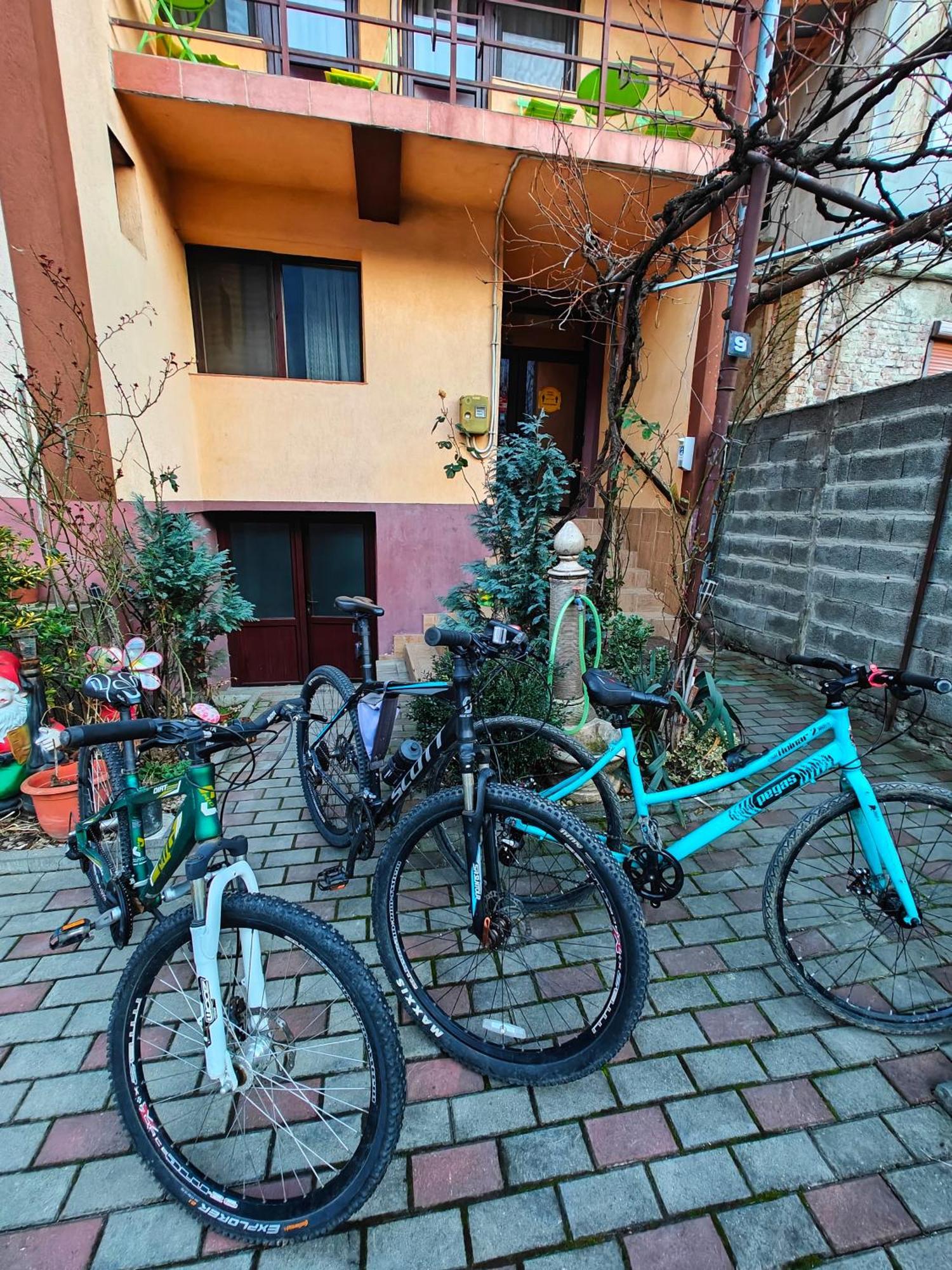 Casa Miclau Apartment เบยเล เฮร์คูลาเน ภายนอก รูปภาพ