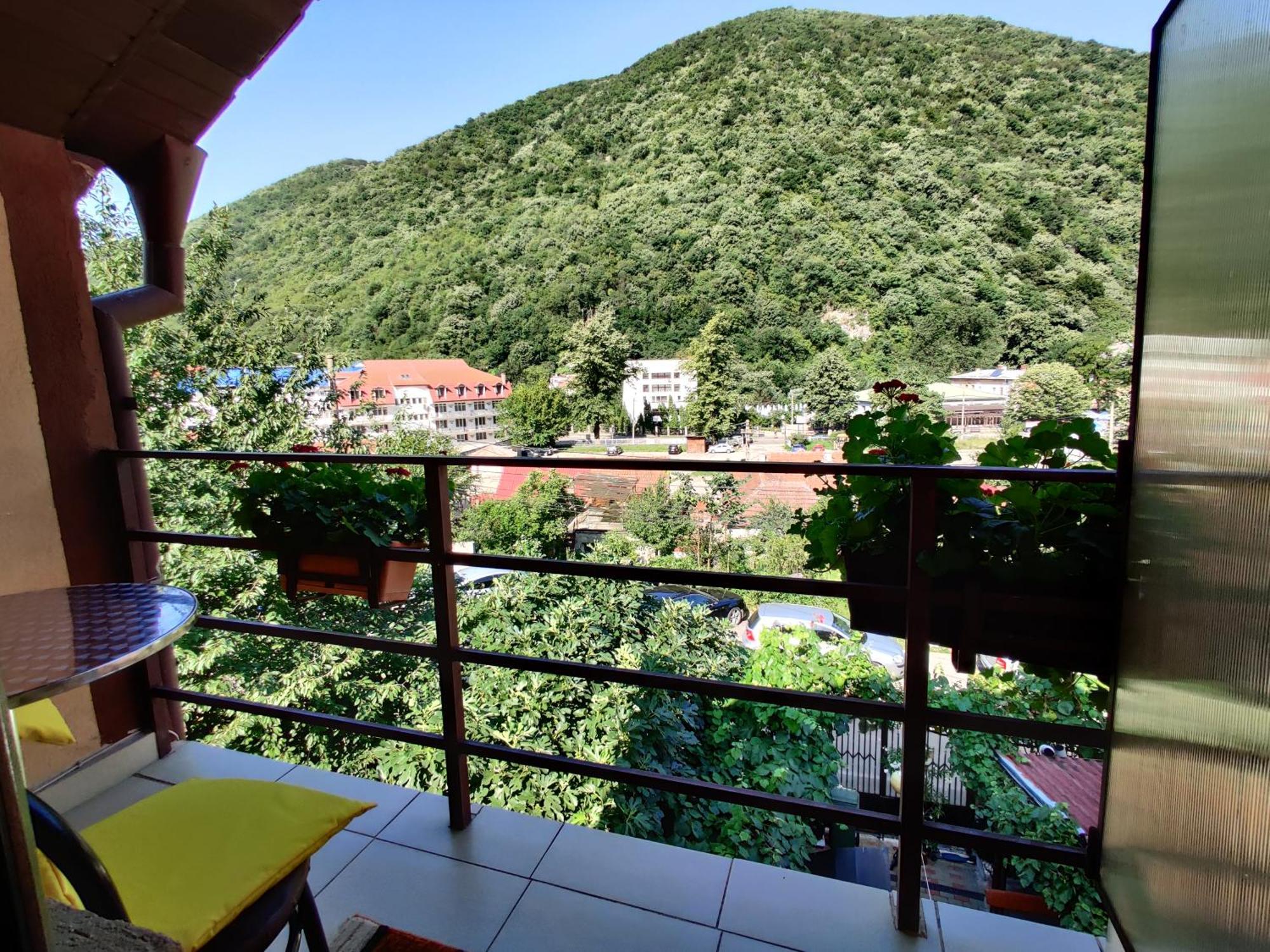 Casa Miclau Apartment เบยเล เฮร์คูลาเน ห้อง รูปภาพ